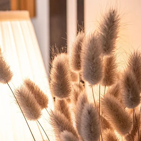 Clos Saint Martin Caen