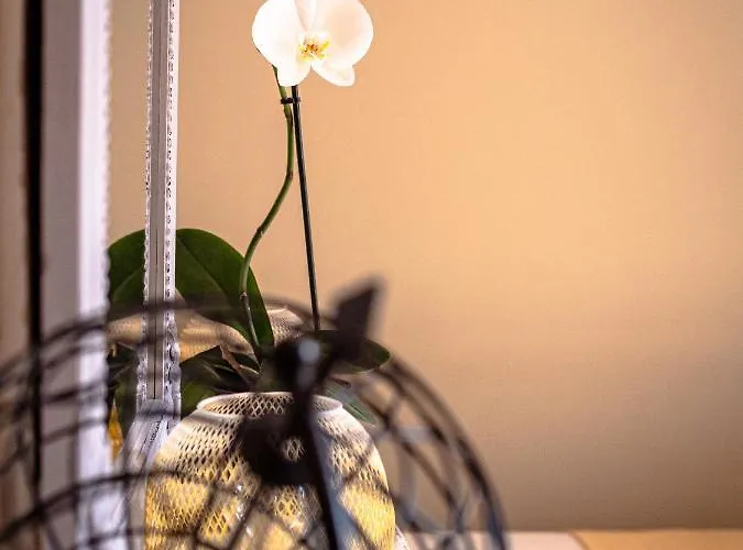 Clos Saint-martin קאין