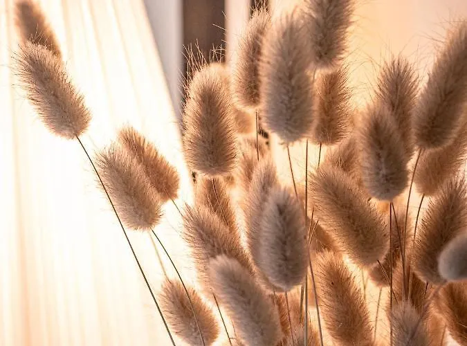 Clos Saint-martin 4* קאין