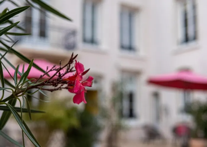 Clos Saint-martin בית הארחה 4*