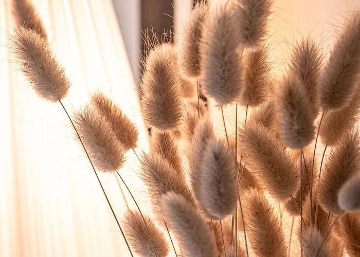 בית הארחה Clos Saint-martin