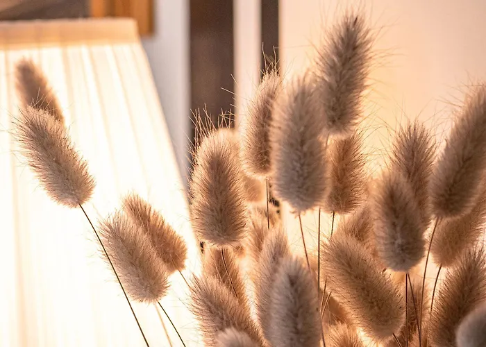 Clos Saint-martin Caen